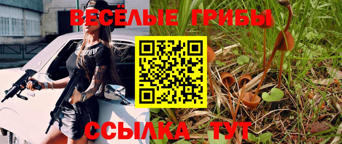 Псилоцибиновые грибы прущие грибы  купить   Саянск  Псилоцибиновые грибы Psilocybe  Вход с VPN 